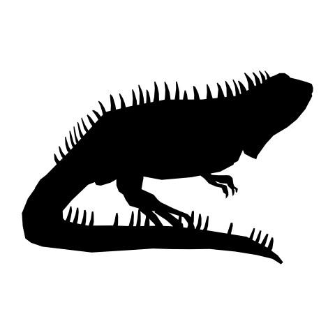 Lizard silhouette png