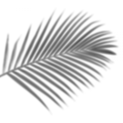 Shadow Png Free Download