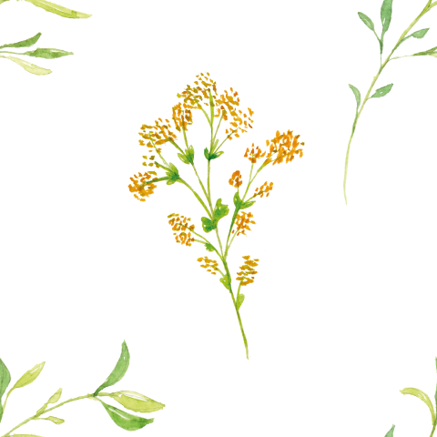 Watercolor Leaves Seamless Pattern Png