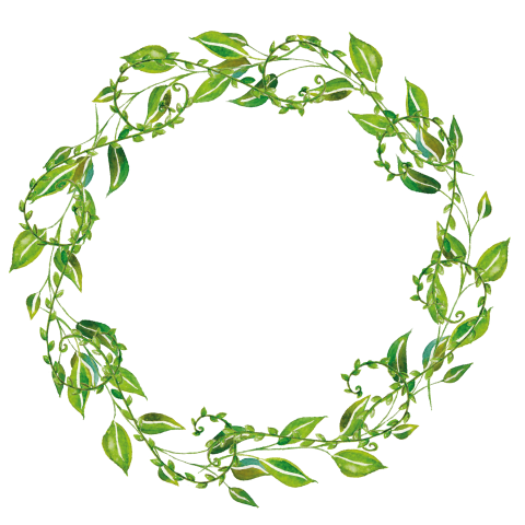 Watercolor Wreath Png Free