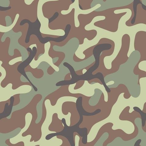 Camouflage Pattern Jungle 1948