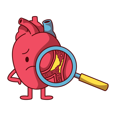Heart Disease Illustration Png