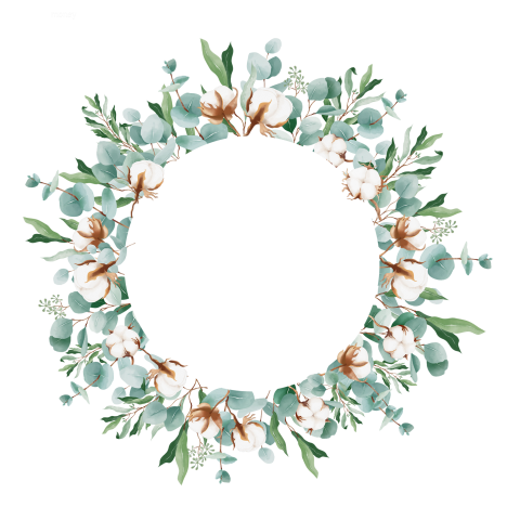 Floral frame on transparent png illustration