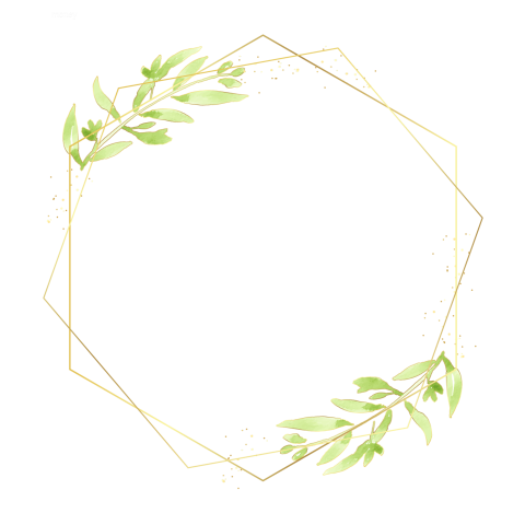 Floral frame on transparent png illustration