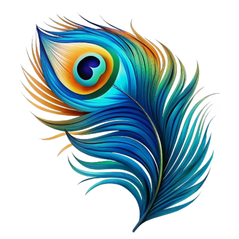 Peacock Feather with Stunning Colors on Transparent Background