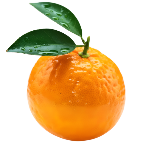 Fresh Orange on Transparent Background