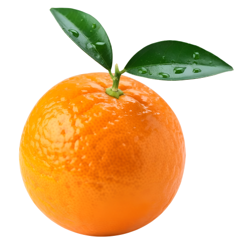 Fresh Orange Fruit with Green Leaves on Transparent Background