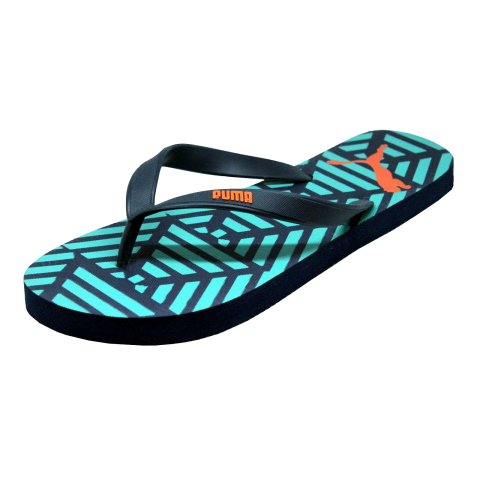 Puma Men Sandal Png
