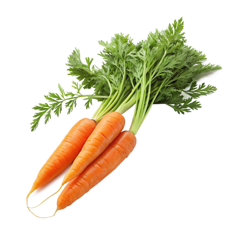 Carrots transparent image png