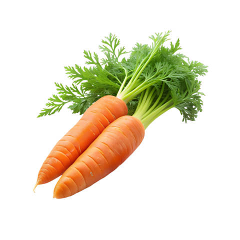 Carrots transparent image png