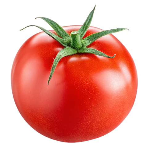 Transparent tomato image png