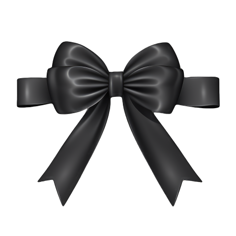 Elegant Black Bow on transparent Background