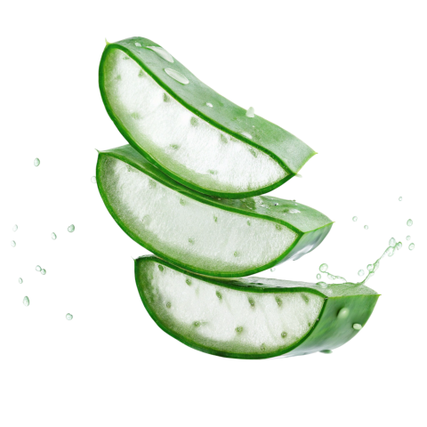 Fresh Aloe Vera Slices on Transparent Background Png