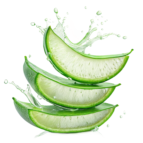 Fresh Aloe Vera Slices on Transparent Background Png