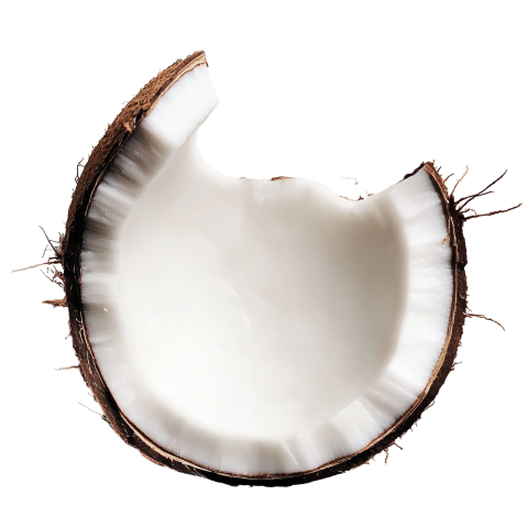 Coconut Slice Isolated on a Transparent Background