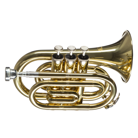 Golden Brass Cornet Instrument on Transparent Background
