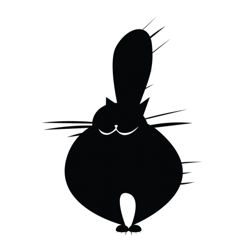 Funny Cat Png Free Download