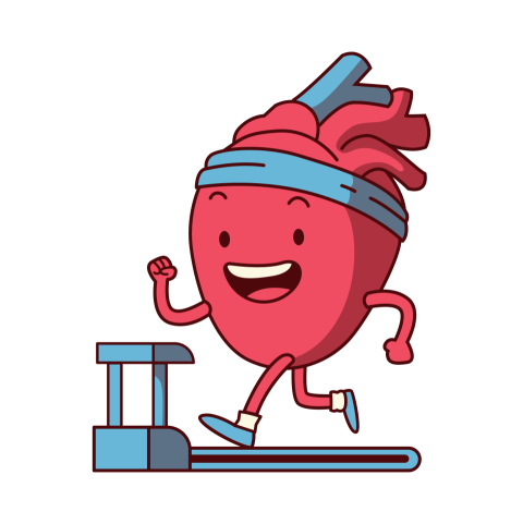 Heart Disease Illustration Png