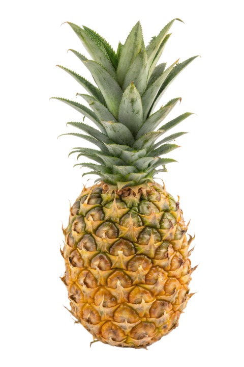 Fresh Pineapple Isolated on Transparent Background