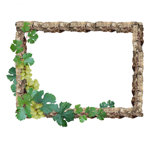 Floral frame on transparent png illustration